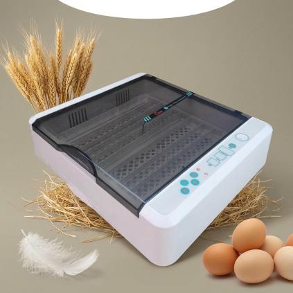HHD Brand full automatic parrot egg incubator and hatcher YZ-36